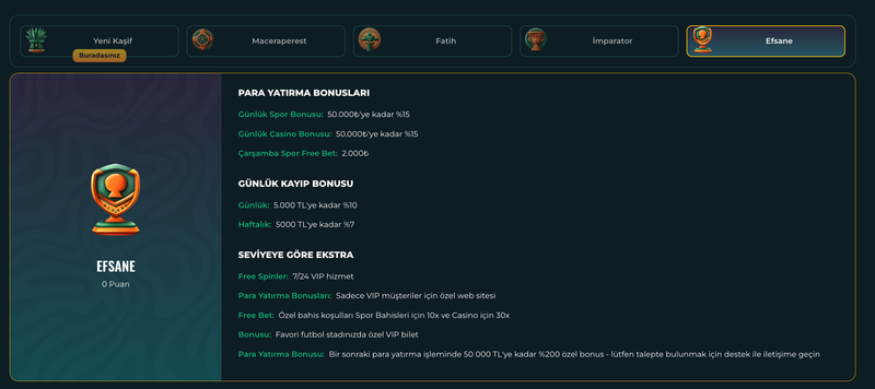 Sadakat programı, seviyeler ve ayrıcalıklar